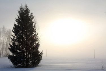 Similar image 807690