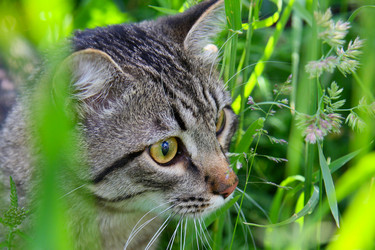 Similar image 807692