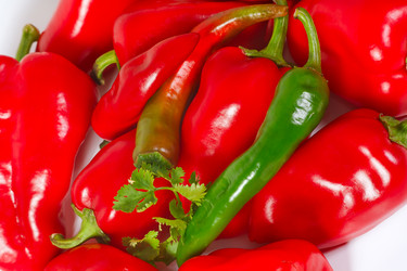 Similar image 807697