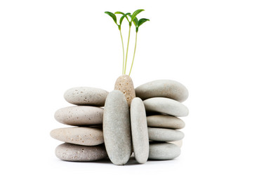 Similar image 807760