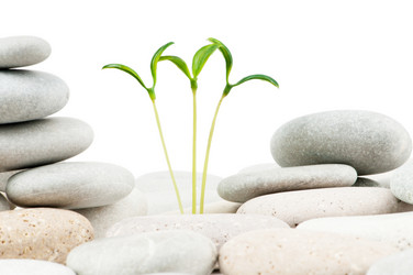 Similar image 807761