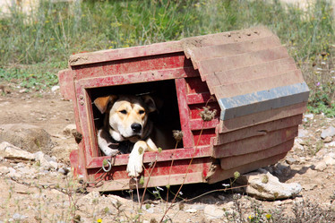 Similar image 807783