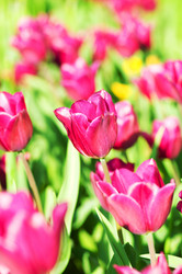 Similar image 807786