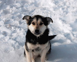 Similar image 807911