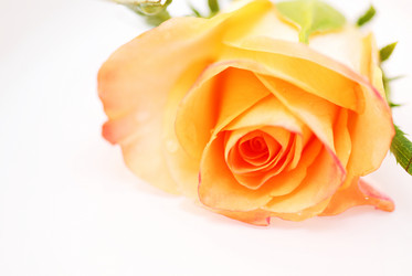 Similar image 807929