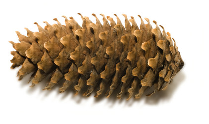 Similar image 807940