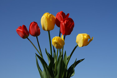 Similar image 807960