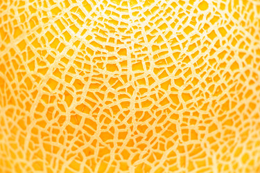 Similar image 807968