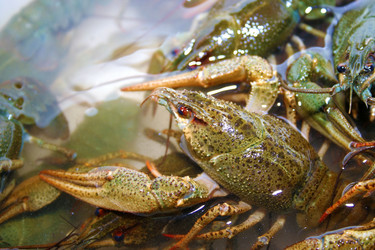 Similar image 808028