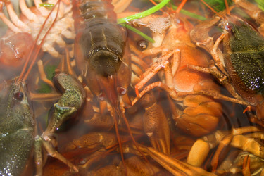 Similar image 808030