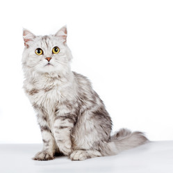 Similar image 808055