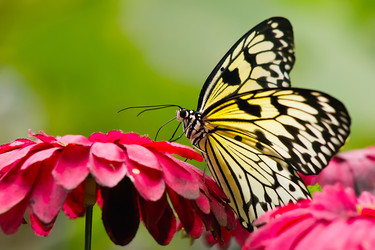 Similar image 808120