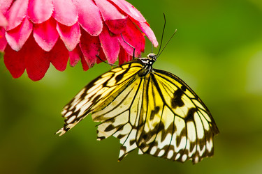 Similar image 808121