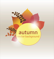 Similar image 808132