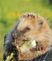 Similar image 808151