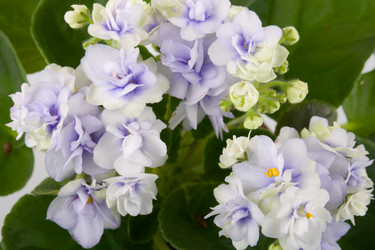 Similar image 808166