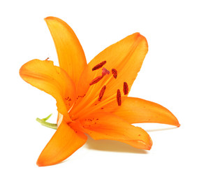 Similar image 808173