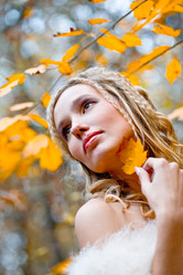 Similar image 808211