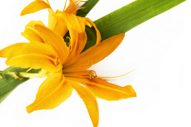 Similar image 808224