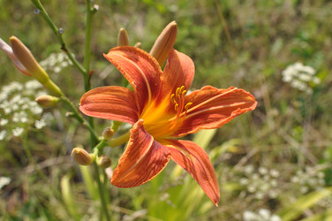 Similar image 808226