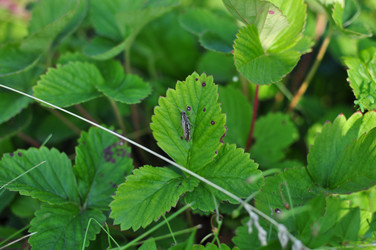 Similar image 808238