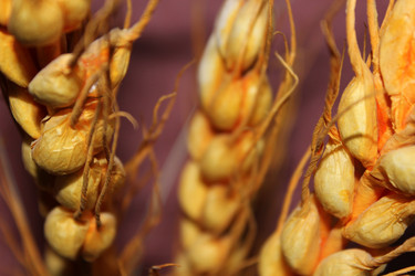 Similar image 808309