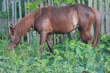 Similar image 808310