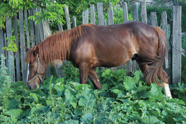 Similar image 808313