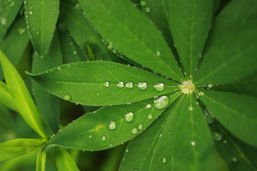 Similar image 808314