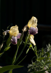 Similar image 808320