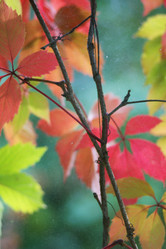 Similar image 808323