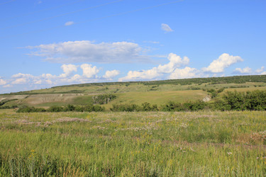 Similar image 808330