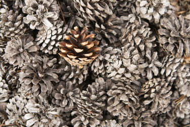 Similar image 808452