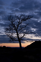 Similar image 808454