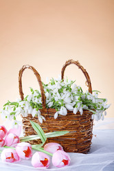 Similar image 808551