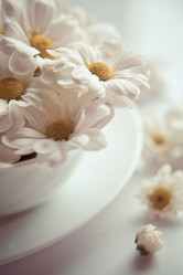 Similar image 808556