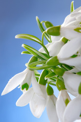 Similar image 808557