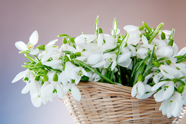 Similar image 808558