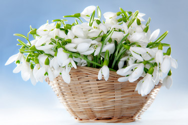 Similar image 808559