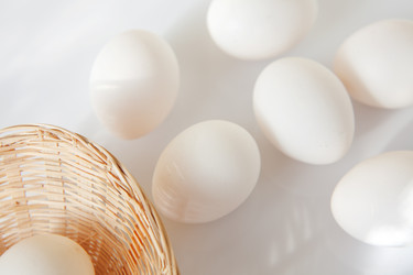 Similar image 808572