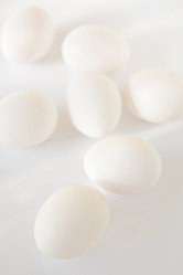 Similar image 808575