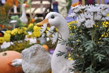 Similar image 808576