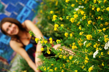 Similar image 808577