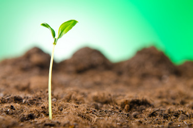 Similar image 808608