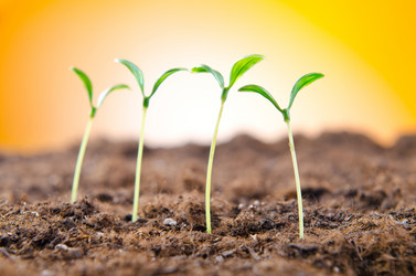 Similar image 808609