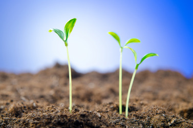 Similar image 808611