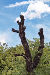 Similar image 808640