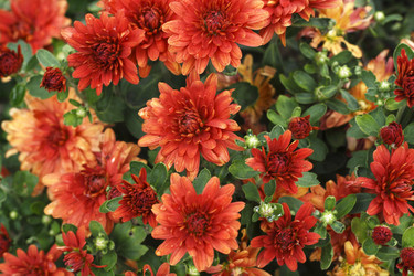 Similar image 808663