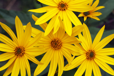 Similar image 808675