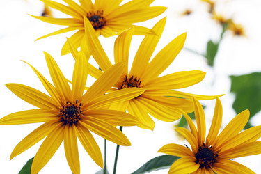 Similar image 808676